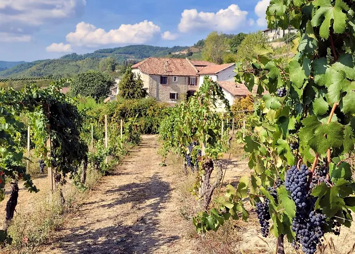 Apartmán Casa Gillo In Cascina Marenco Langhe Cessole